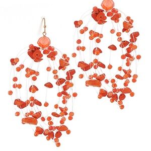 Fringe Color Coated Chip Stone Earrings